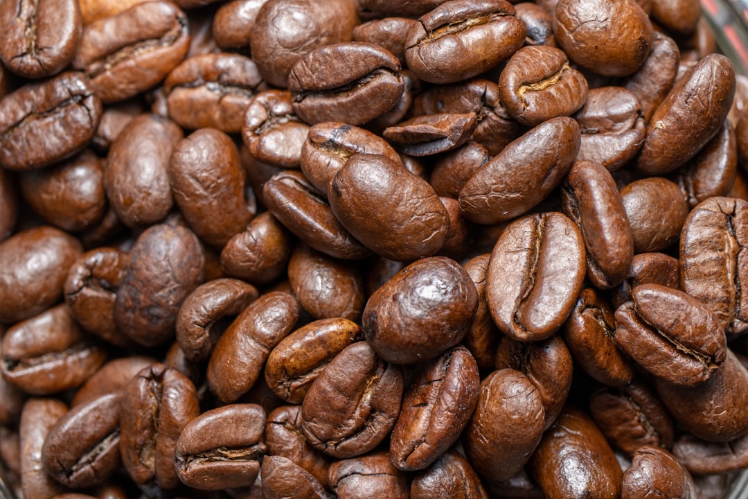 The Ultimate Guide To Brewing The Perfect Cup Of Coffee 1 Photo coffee beans